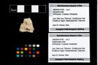 Foto (Objekt + Etikett) von Galatheoidea indet.  (NHMW-GEO-1990-0041-4790)